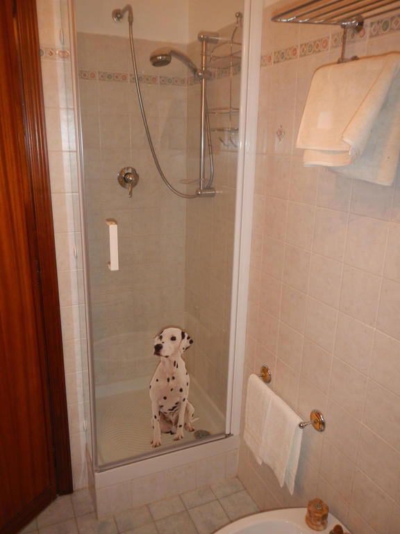 A Casa Di Gianna B&B Rieti Dış mekan fotoğraf