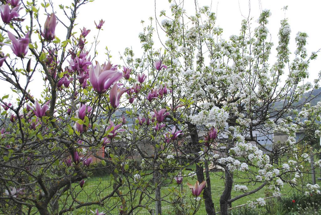 A Casa Di Gianna B&B Rieti Dış mekan fotoğraf